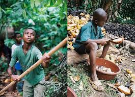 Tráfico de niños en Costa de Marfil, el infierno de las plantaciones de cacao