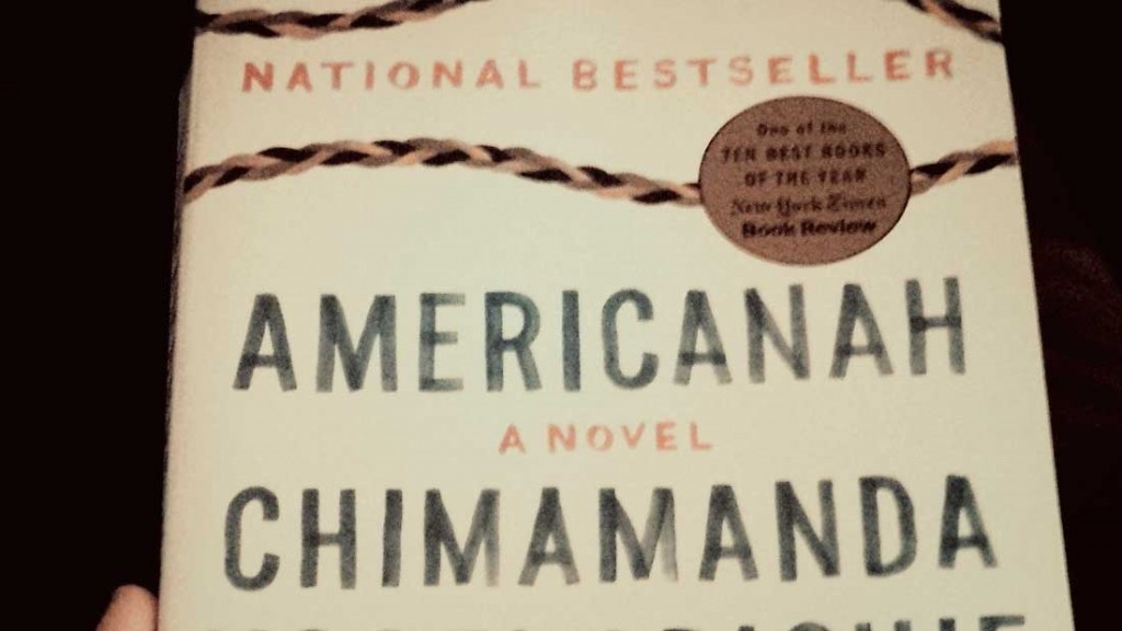 “Mucha inteligencia, poca literatura”. Reseña literaria de AMERICANAH de Chimamanda Ngozi Adichie (1) de (3),  por  Nuno Cobre