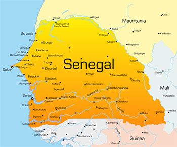 Siete candidatos a las presidenciales de Senegal de 2019