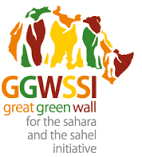 África construye su Gran Muralla Verde