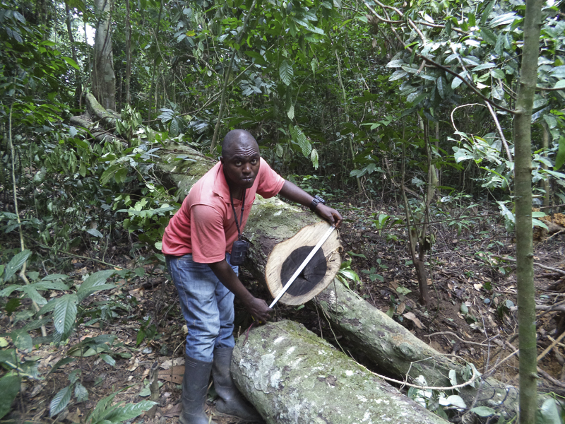 Explotar bien la selva es posible,  por Chema  Caballero