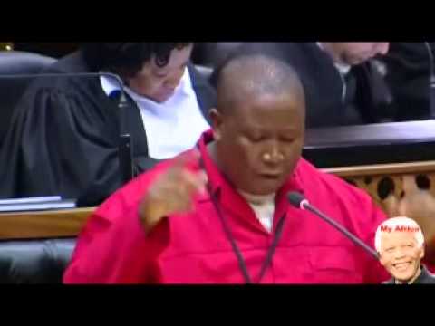 Carta a Julius Malema de Olie Olwagen,  afrikaner