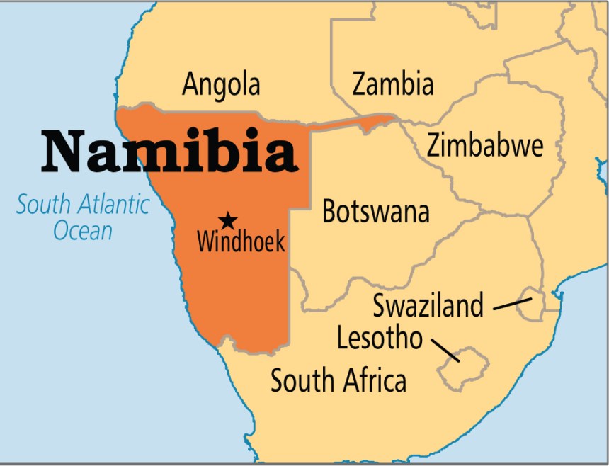 Los comerciantes de madera quieren cortar 195.550 árboles en Namibia