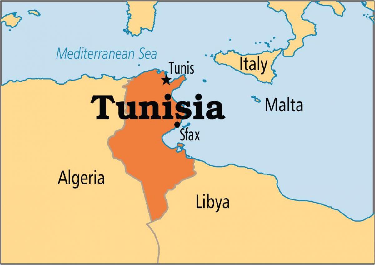 Se prohíbe el uso de minbars y mezquitas a todos los candidatos de las elecciones en Túnez