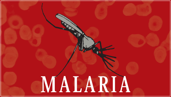 Kenia adopta la primera vacuna mundial contra la malaria