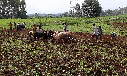 farmers_farming_jimma__ethiopia.jpg