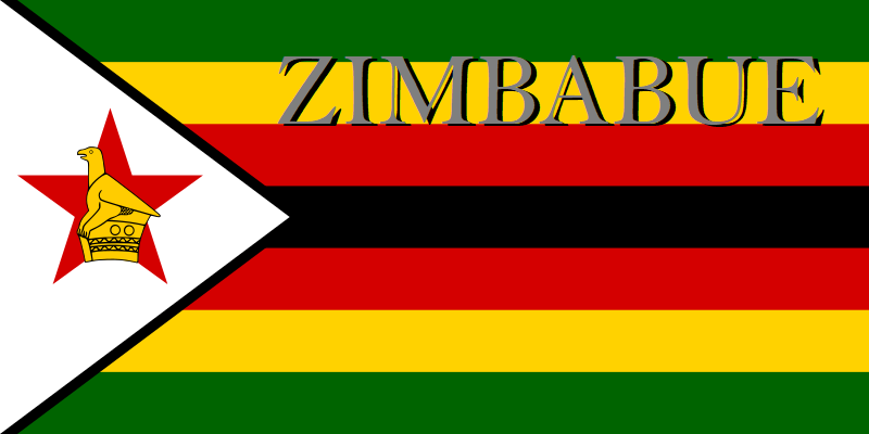 La policía de Zimbabue confirma la detención de dos periodistas