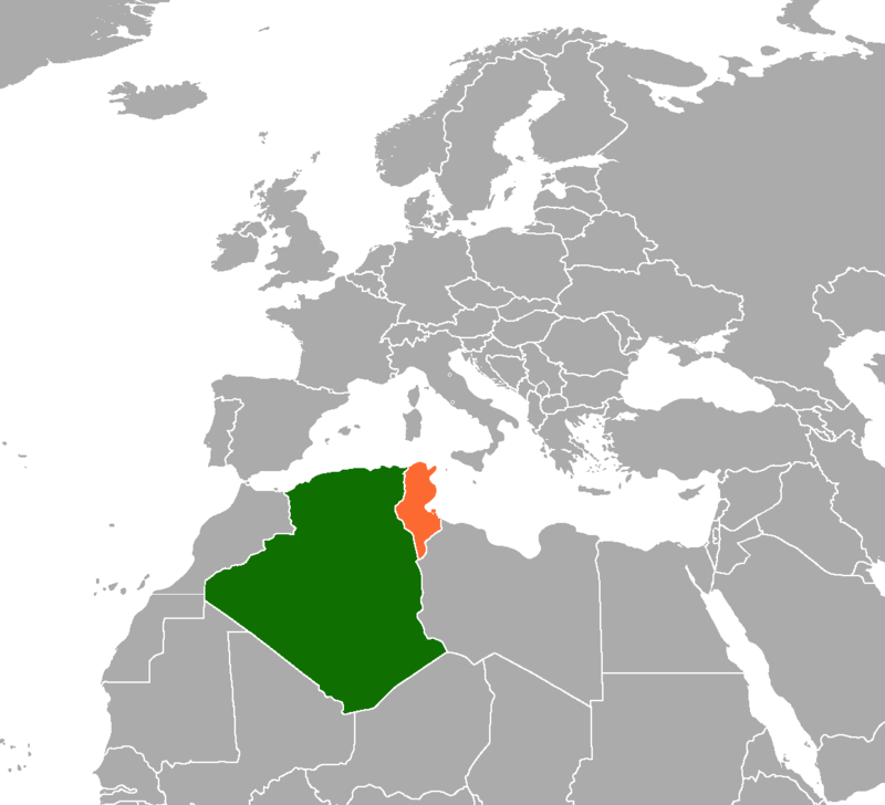 Solidaridad en tiempos de covid-19: Argelia y Túnez