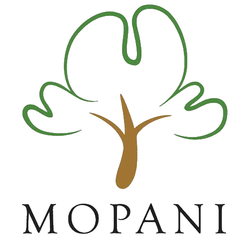 El Gobierno de Zambia compra la mina Mopani