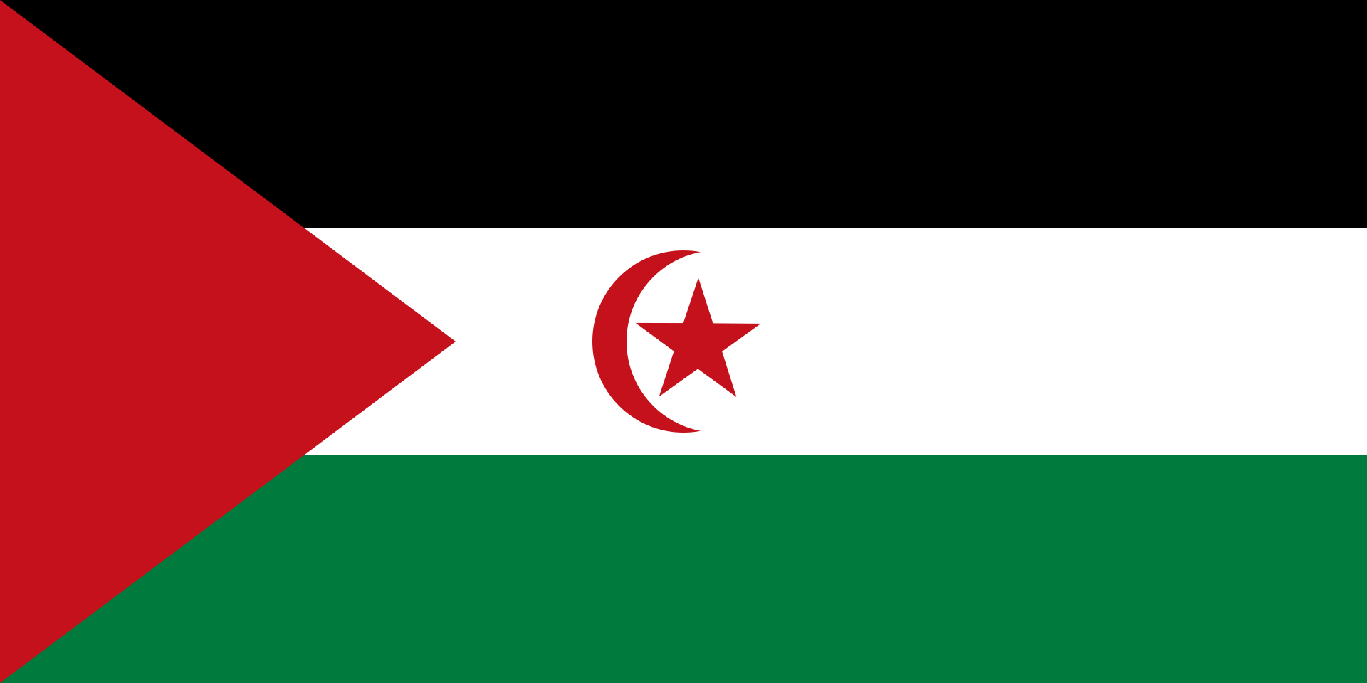 El representante del Frente Polisario en Francia pide a Estados Unidos la revocación de su postura