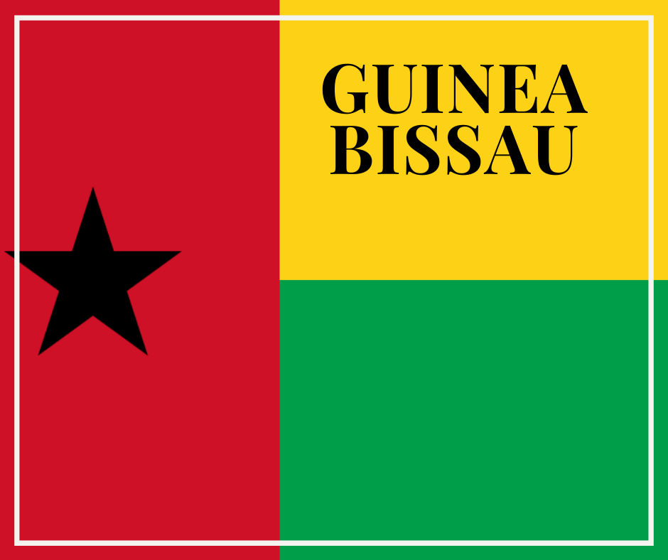 El gobierno de Guinea-Bissau satisfecho con el apoyo del FMI