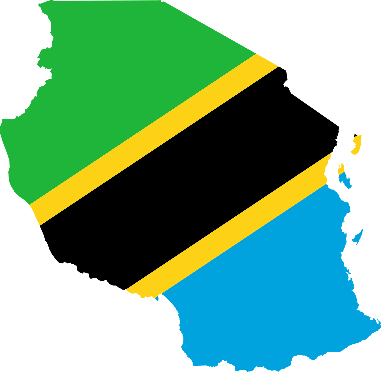 La muerte priva a Tanzania de 10 personalidades destacadas en febrero