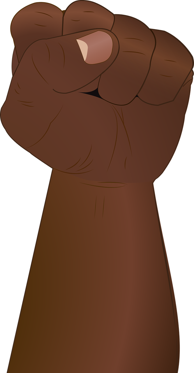fist-1741100_1280.png