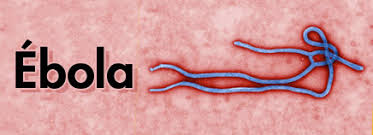 Por qué el ébola está de regreso en Guinea y por qué la respuesta debe ser diferente esta vez