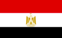 Egipto muestra su apoyo a Libia en la lucha contra la covid-19