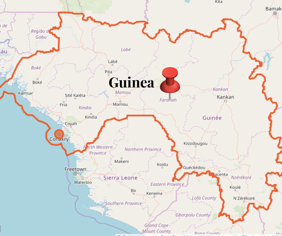mapa_guinea-2.png