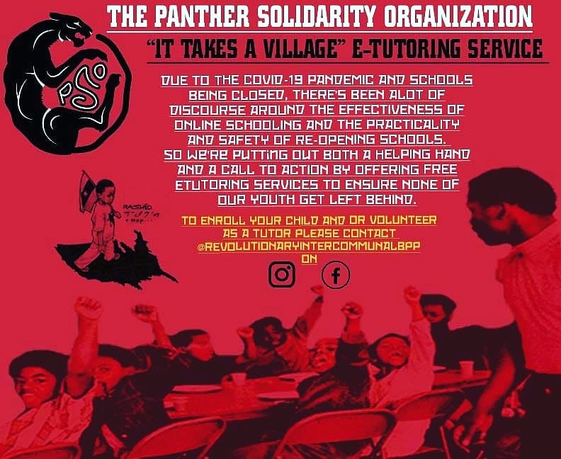 panther_solidarity.jpg