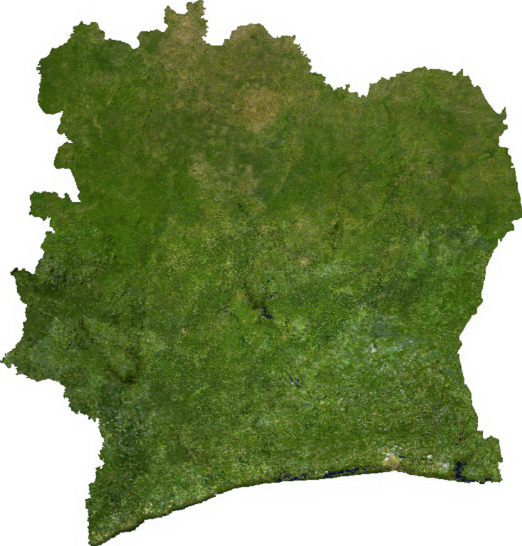 El Bosque de la Téné, la última defensa contra la deforestación en Costa de Marfil