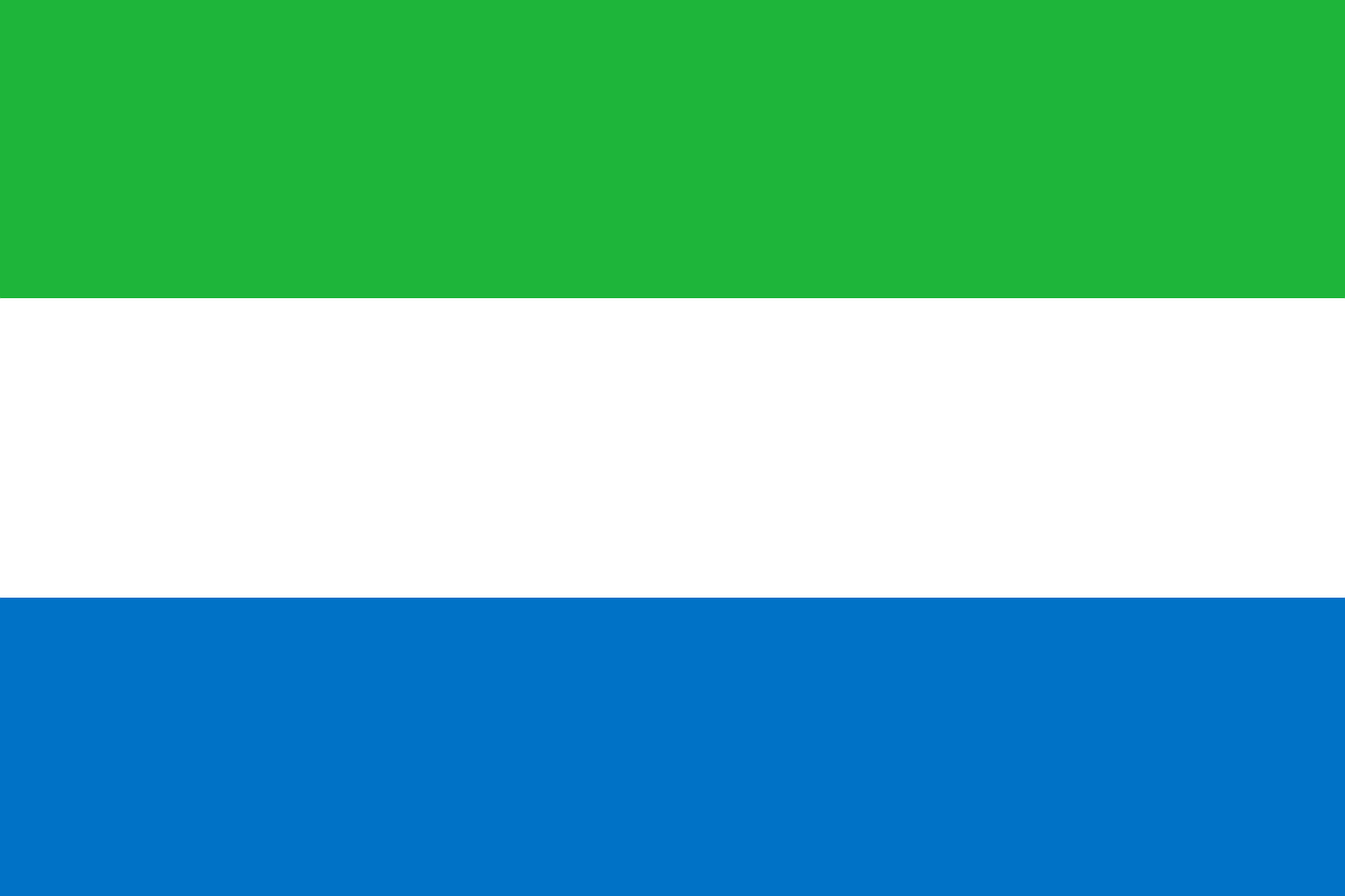 La diáspora sierraleonesa organiza una protesta virtual mundial contra las condiciones en Sierra Leona