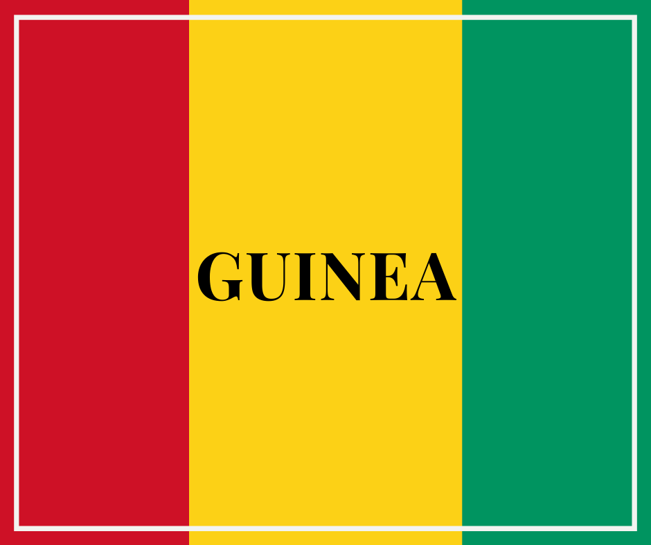 La OMS declara el fin del segundo brote de ébola en Guinea
