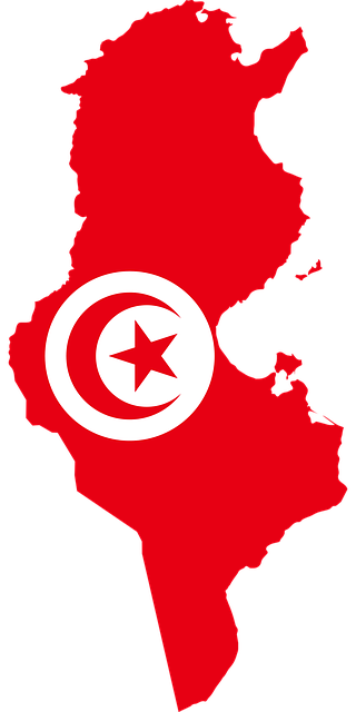 La presidencia tunecina convoca a los tribunales militares a otra bloguera