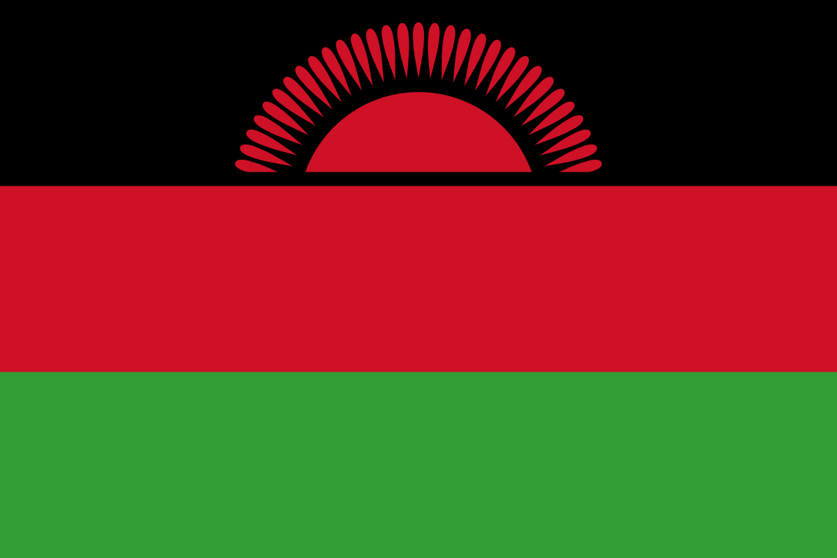 Michael Usi es el nuevo vicepresidente de Malaui