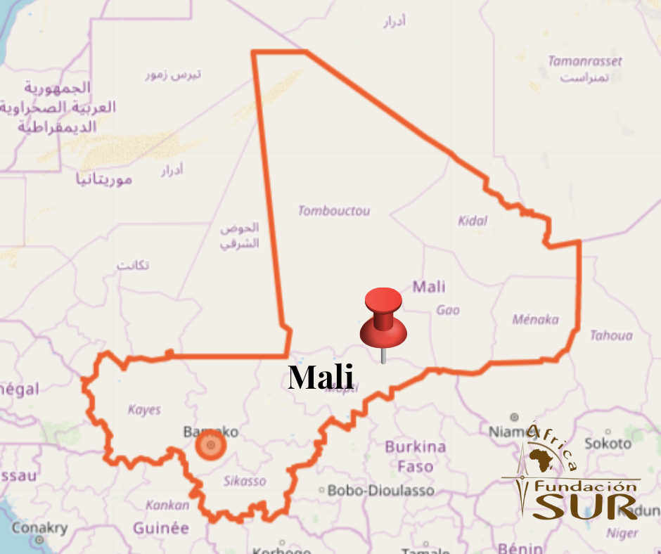 La inestabilidad está diezmando el patrimonio cultural de Malí