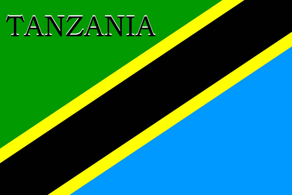 Tanzania apuesta por el gas natural