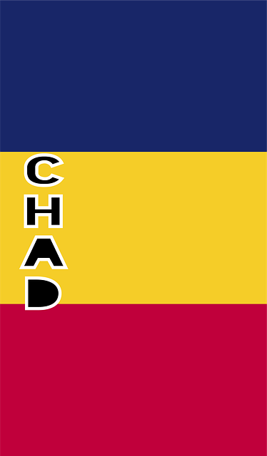 Chad busca el apoyo de otros estados africanos para su proceso de transición