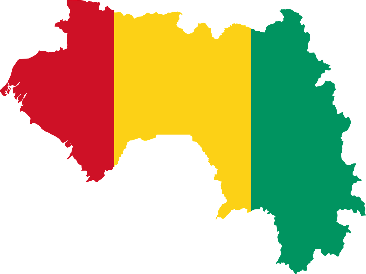 Los militares presentan una transición democrática en Guinea