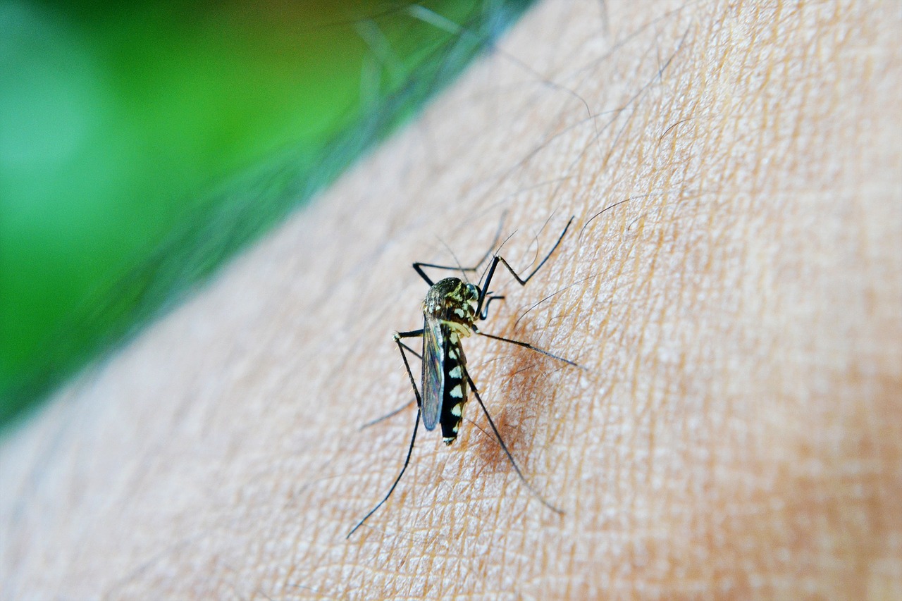 Esperanza en la nueva vacuna contra la malaria
