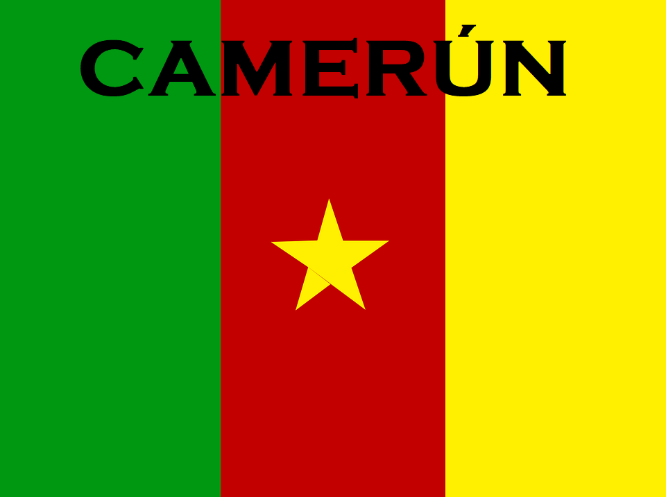 Atentado en una Universidad de Camerún