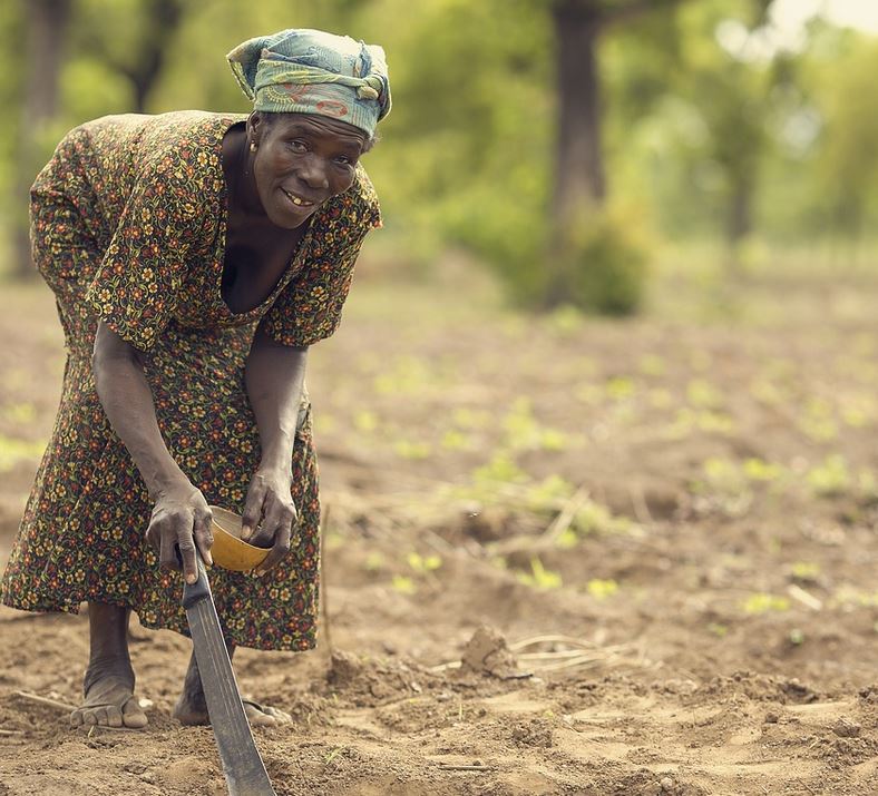 ghana_mujer_agricultura_bosque_tierra_cc0-6.jpg