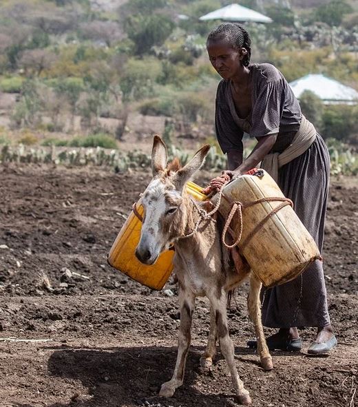 mujer_agricultura_etiopia_agua_sequia_cc0.jpg