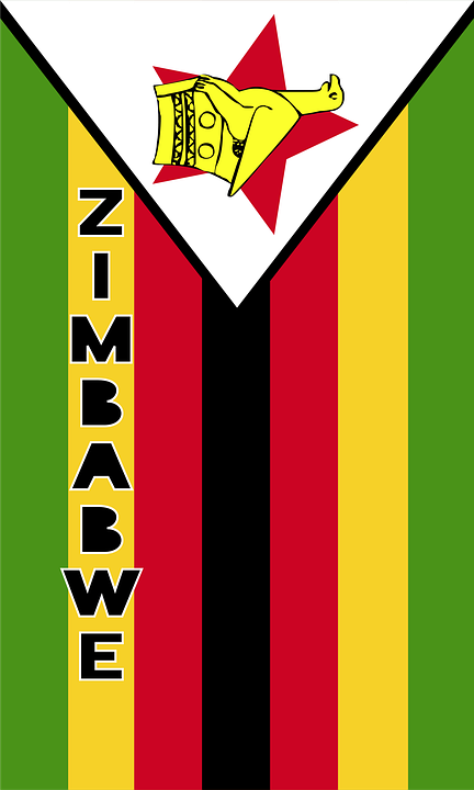 Despedido el ministro de Seguridad Nacional de Zimbabue