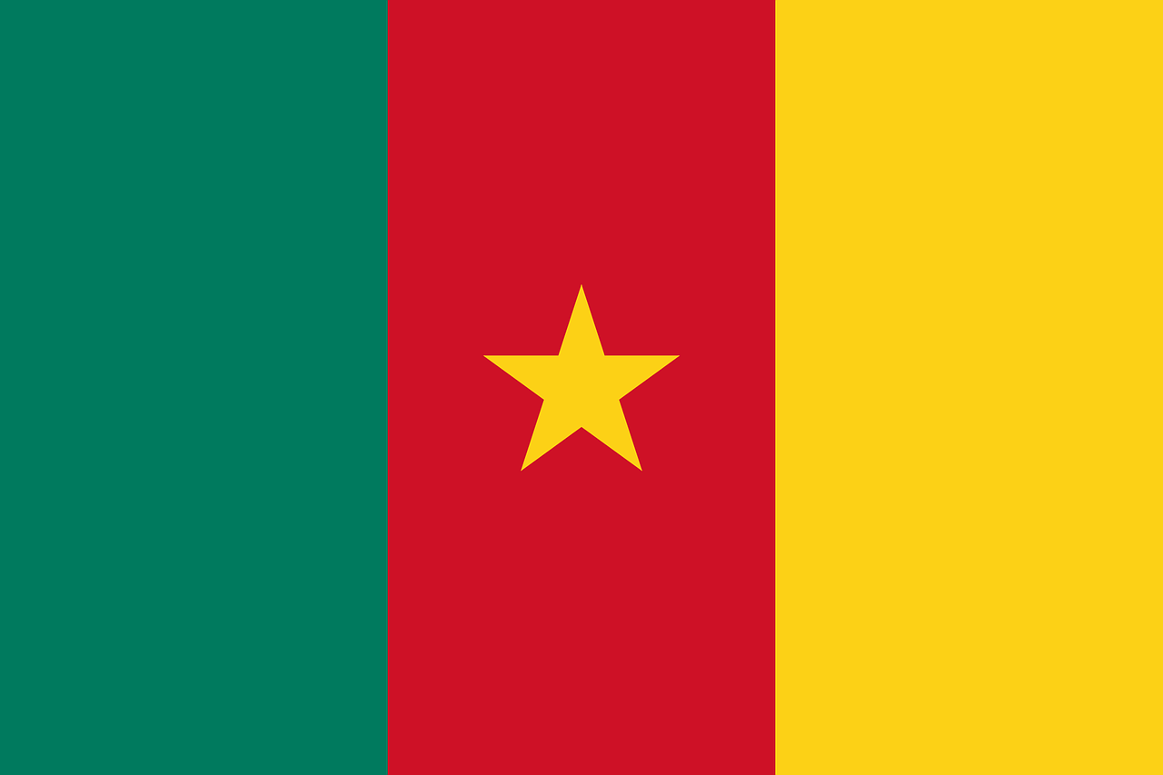 camerun_flag.png