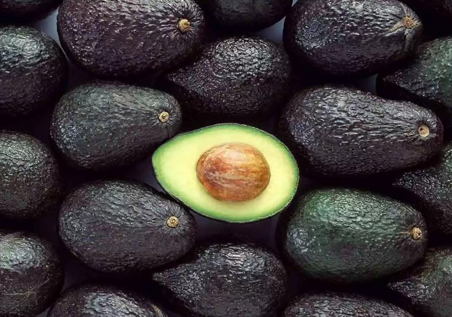 Los aguacates de Tanzania llegan al mercado indio