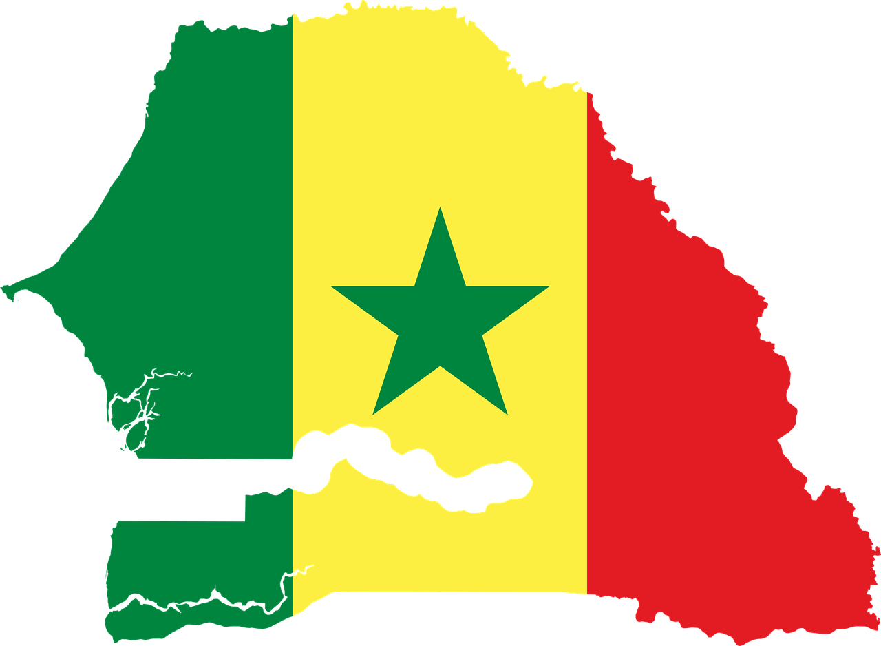 Senegal declara fiesta nacional para celebrar su primera victoria en el AFCON