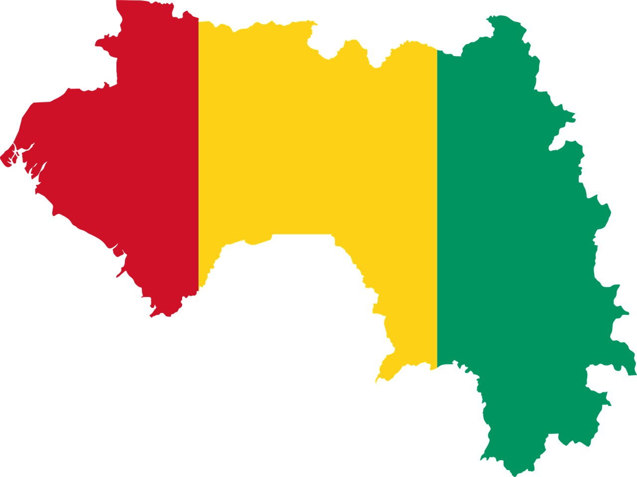 Declaración contra el gobierno transitorio en Guinea-Conakry