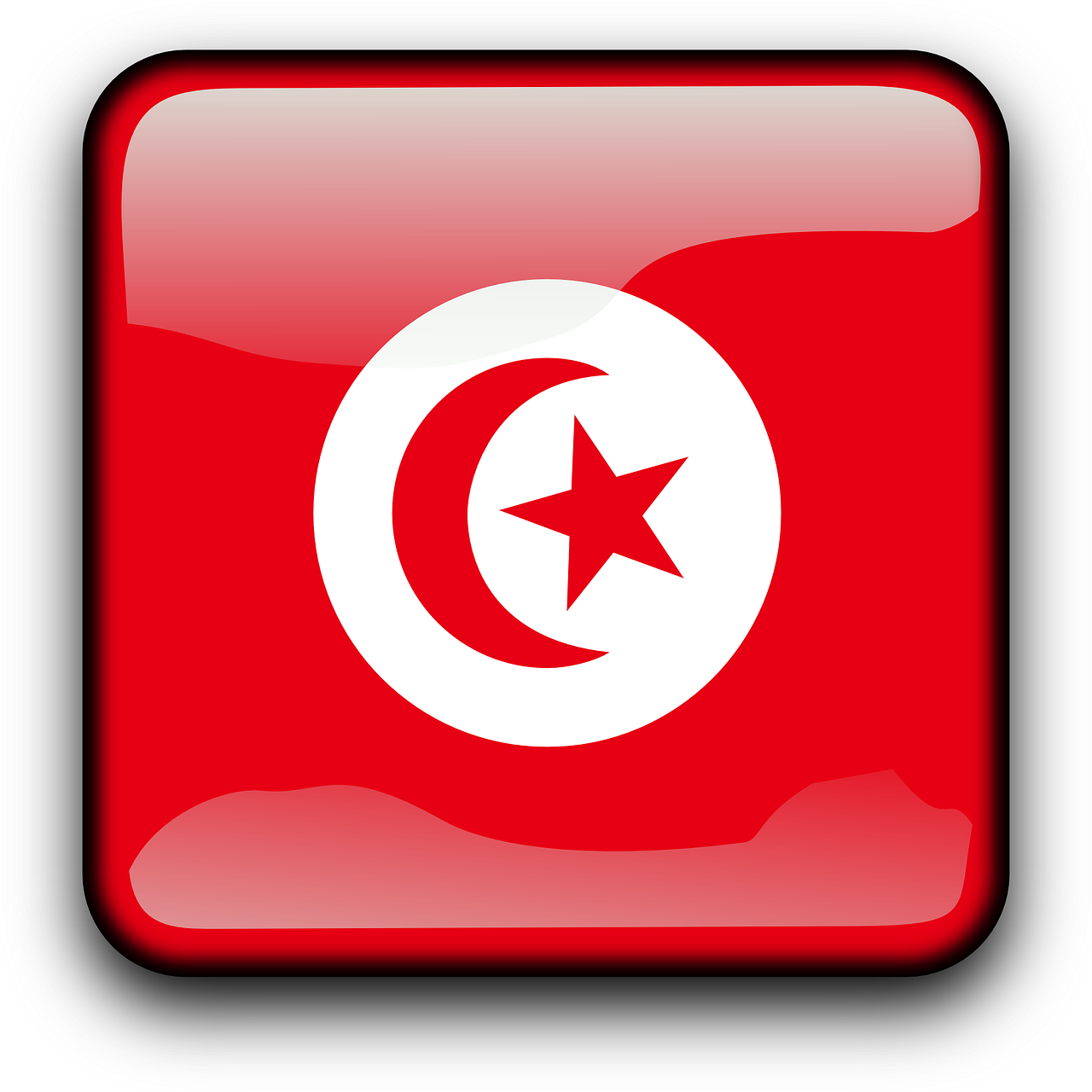 Túnez celebra el día de la independencia de forma diferente