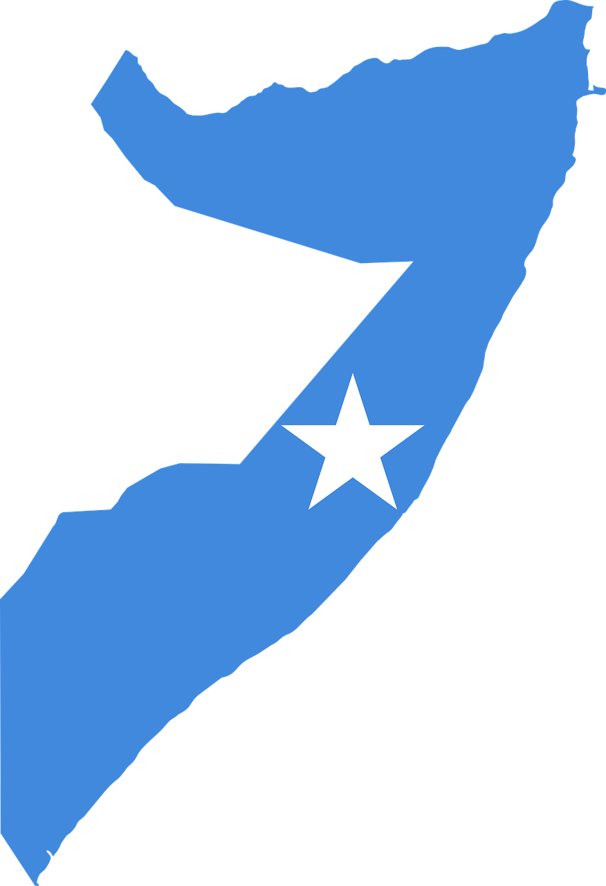 Somalia ya tiene nuevo presidente