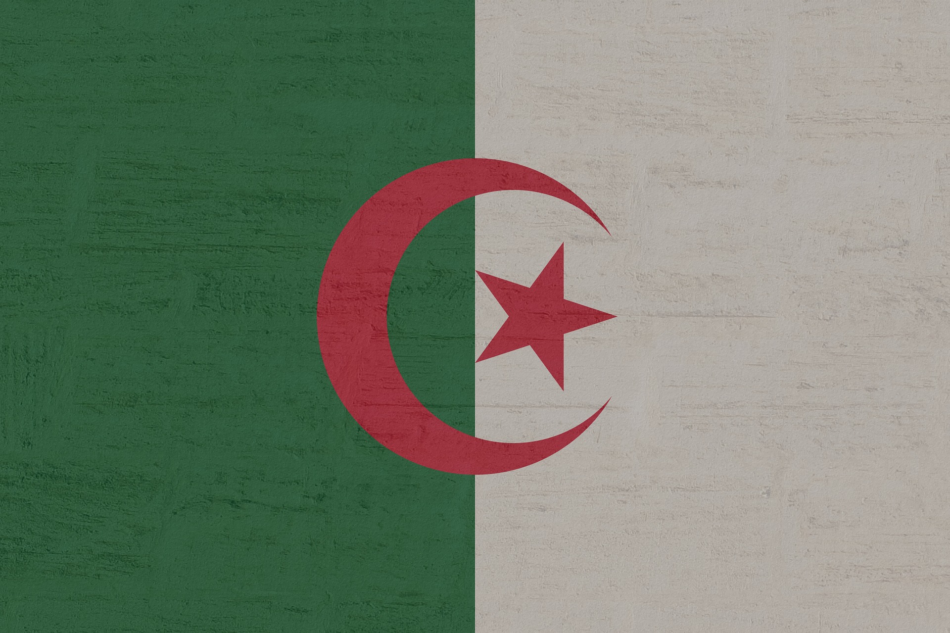 Argelia participa en la conferencia internacional sobre delincuencia organizada transnacional