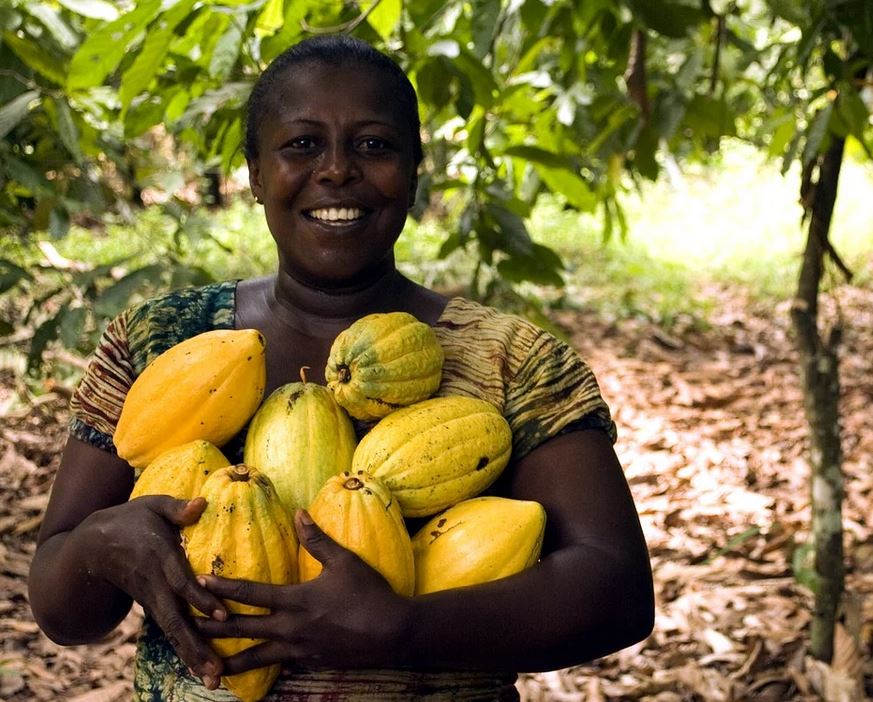 Nueva planta procesadora de cacao en Costa de Marfil