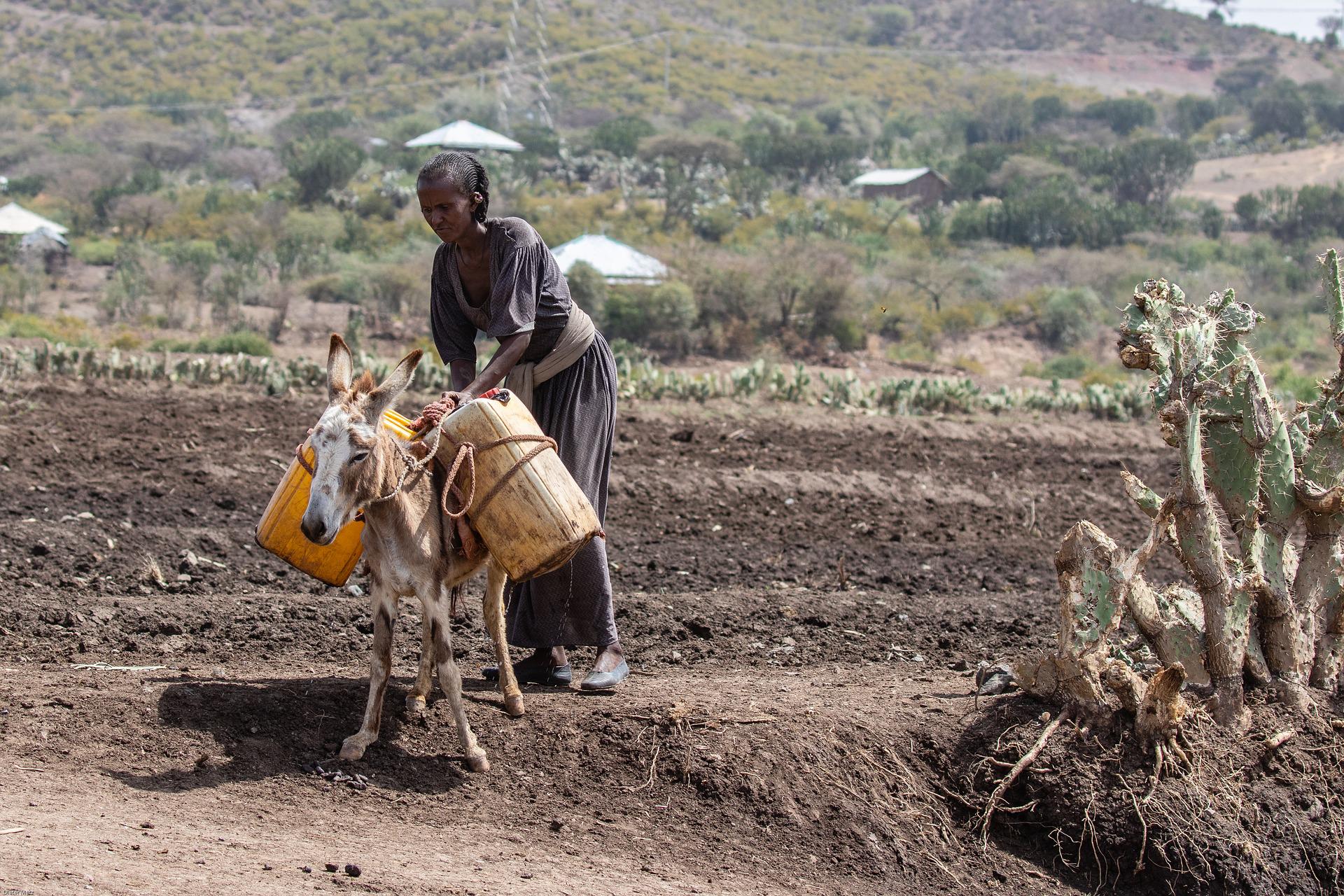Kenia busca mitigar la sequía a través de la educación agraria