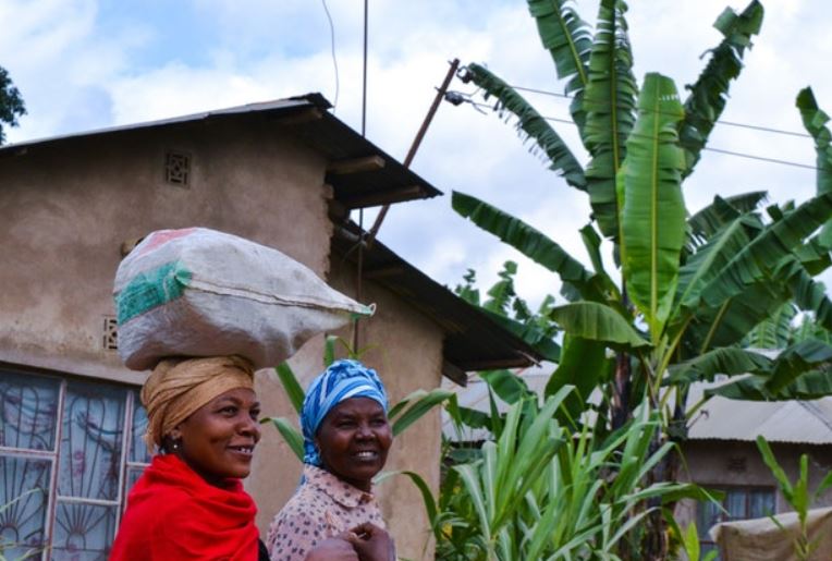 Los minoristas se plantan ante la subida del maíz en Camerún