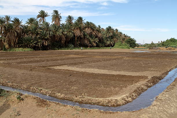 La temporada de lluvias en Sudán exacerba la inseguridad alimentaria
