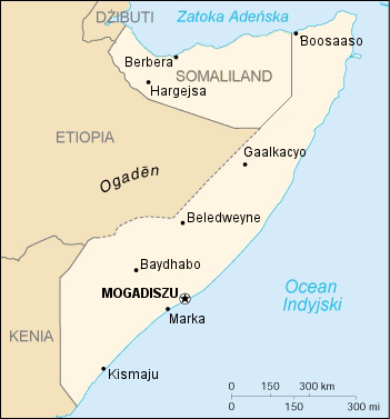 Información y comunicaciones, áreas clave para la lucha antiterrorista en Somalia