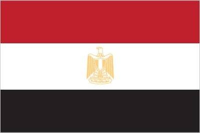 Aumenta la seguridad en Egipto ante la llamada a protestas masivas por la COP27
