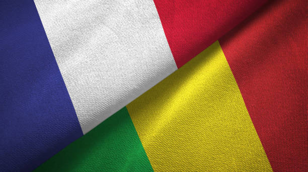 Malí prohíbe las actividades de las ONG financiadas por Francia