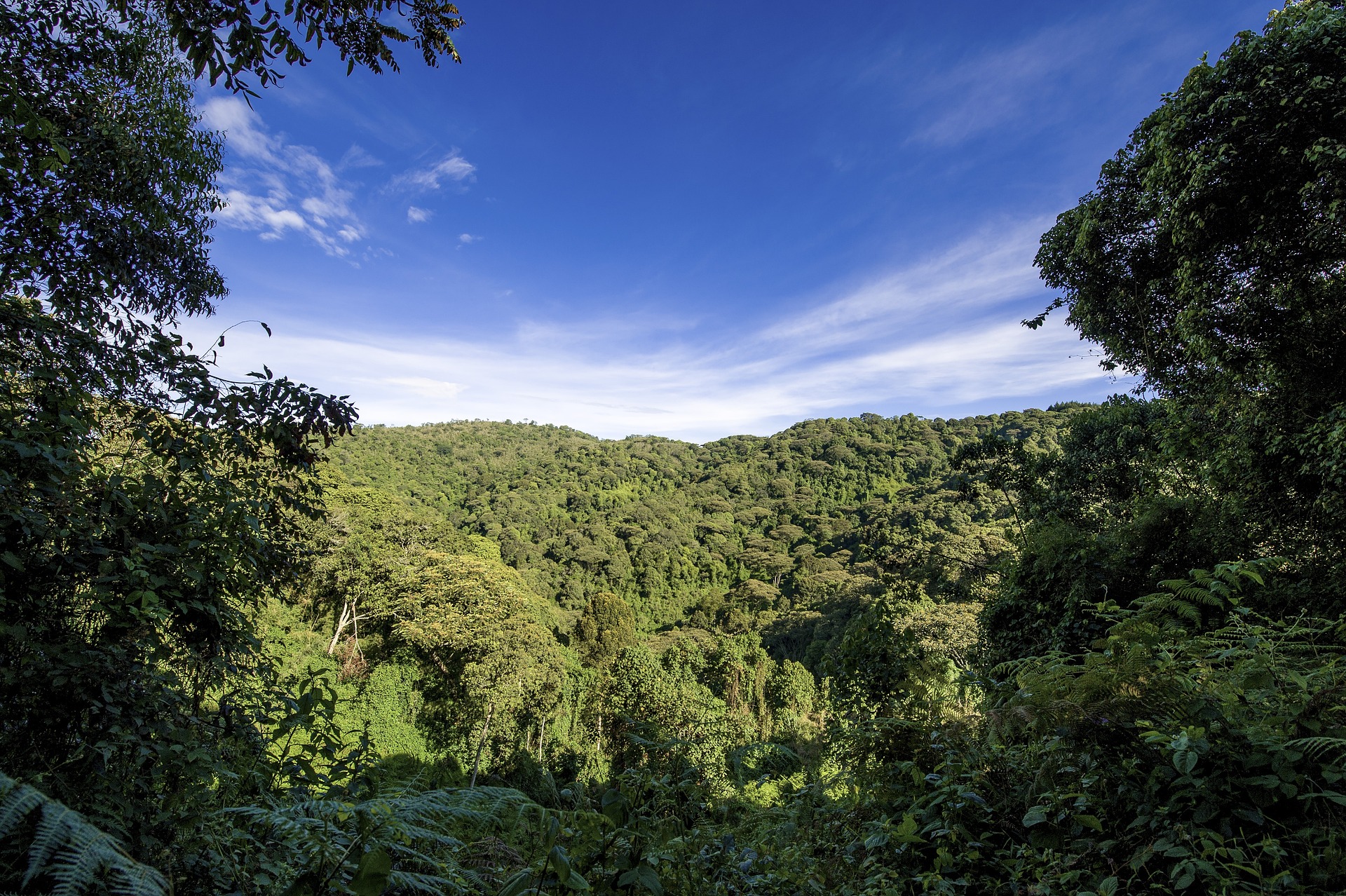 Uganda promociona el turismo de montaña transfronterizo con Kenia en la región de Elgon